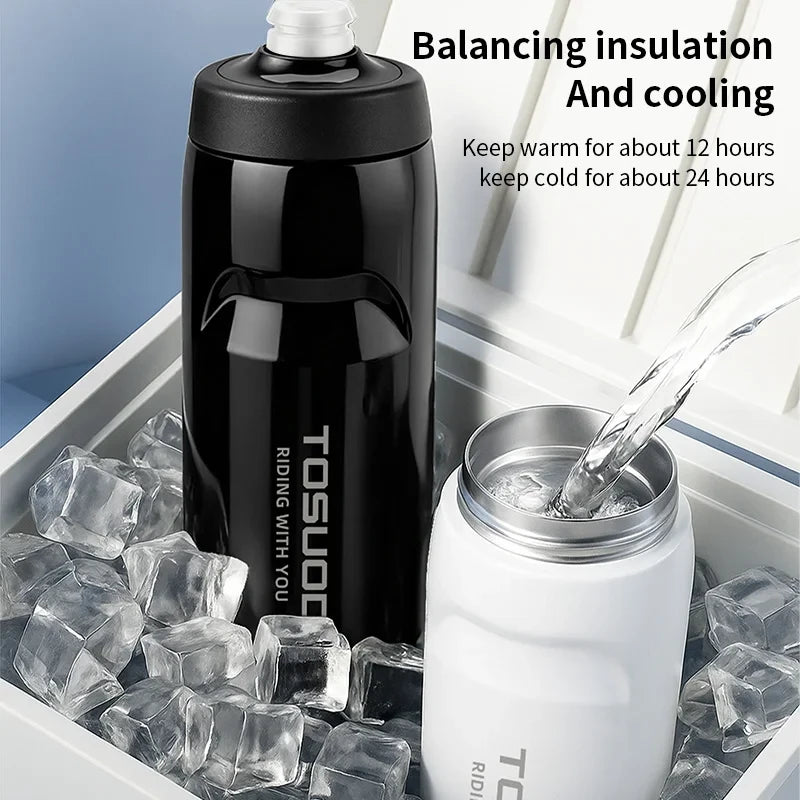 Stainless Steel Insulated Water Bottle